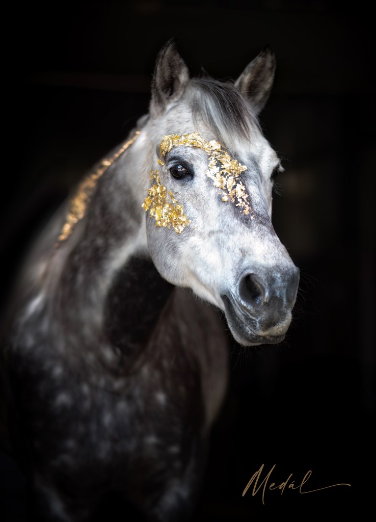 Blattfoldshooting, Pferd, Pferdeshooting, Pferdefotograf, Pferdefotografie