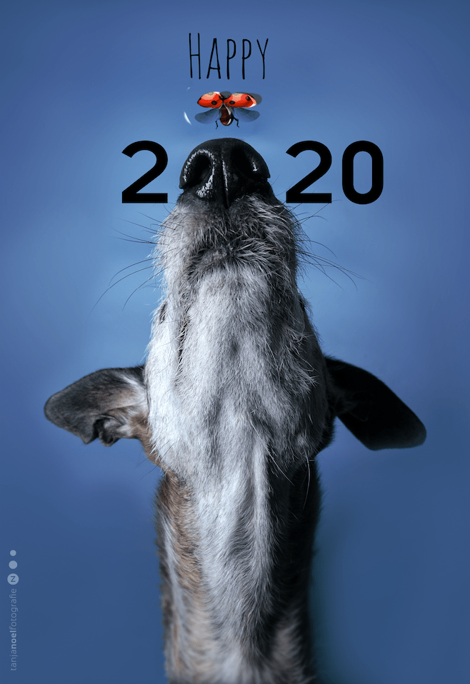 Haappy new year 20202