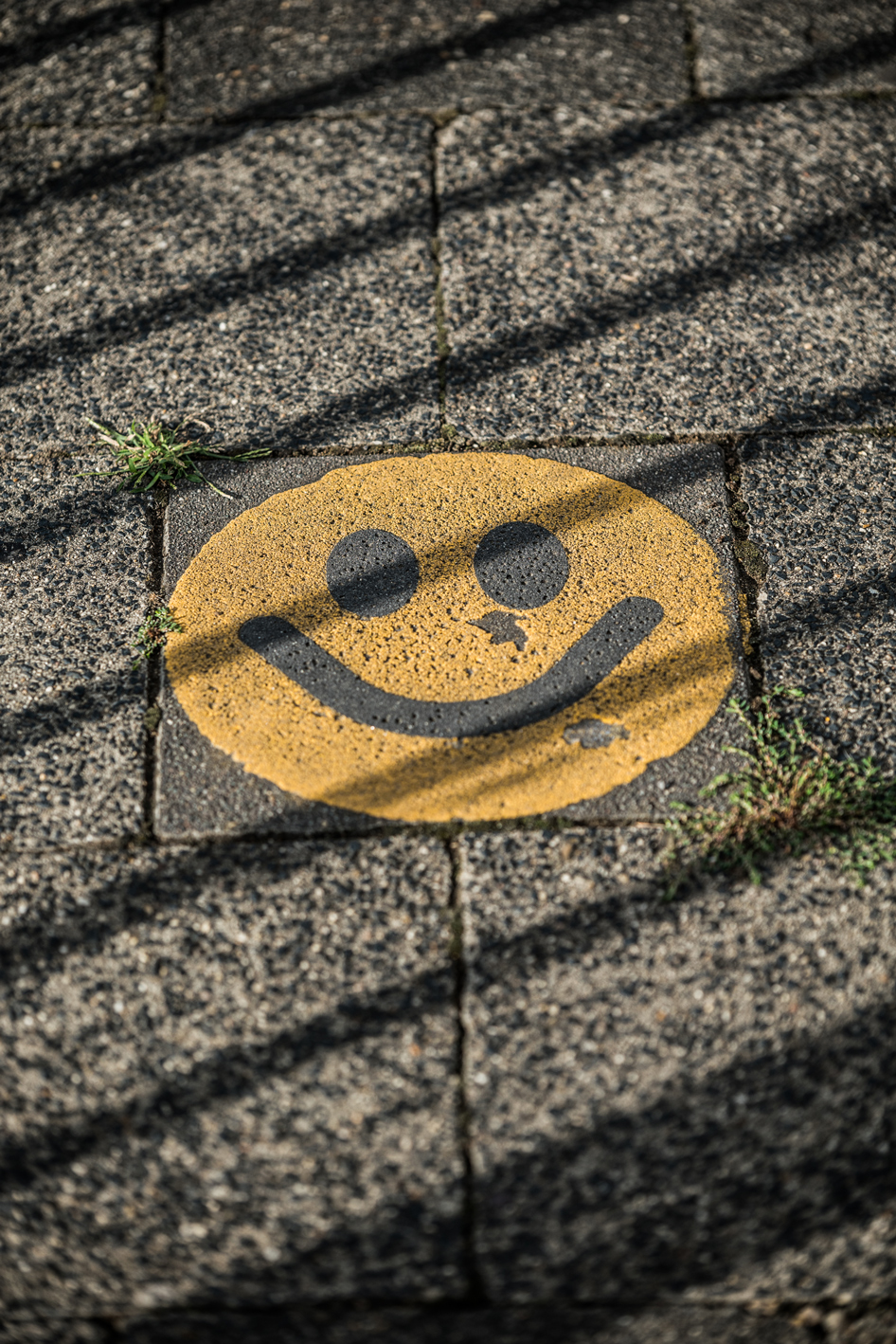 Hochzeitsfotografie, Hochzeitsfotograf, wedding photographer, Maastricht, Gmunden, Starfotograf, Linz, Wels, Salzburg, Traumhochzeit,